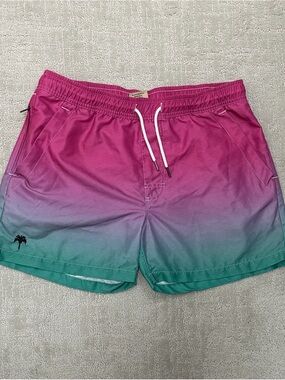 OAS Men's Ombré Pink to Teal Swim Trunks
